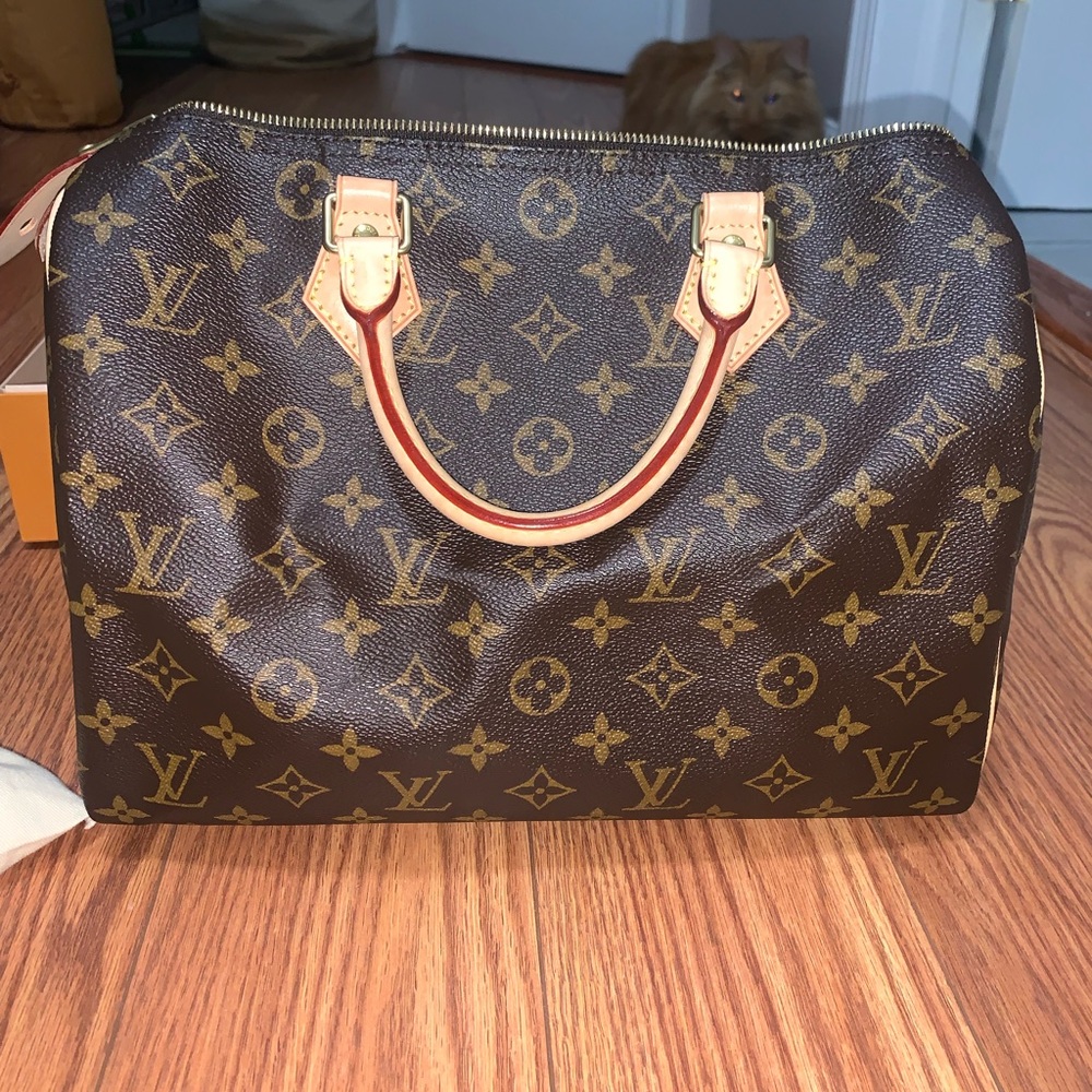 Louis Vuitton Speedy 30 in Monogram